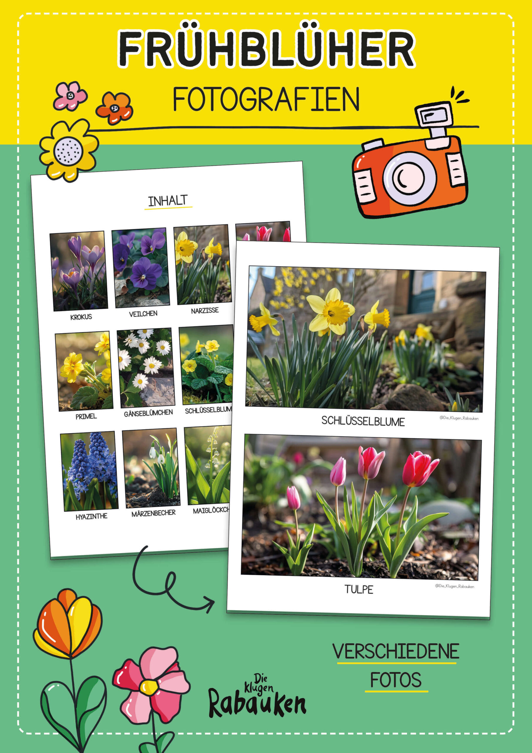 Frühblüher Fotografien – Frühlingsblumen Bilder im Sachunterricht